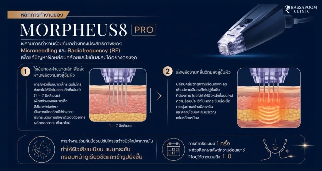 หลักการทำงานของ Morpheus pro