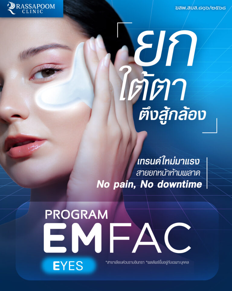 โปรแกรม em face eye