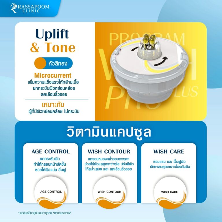โปรแกรม wish pro plus