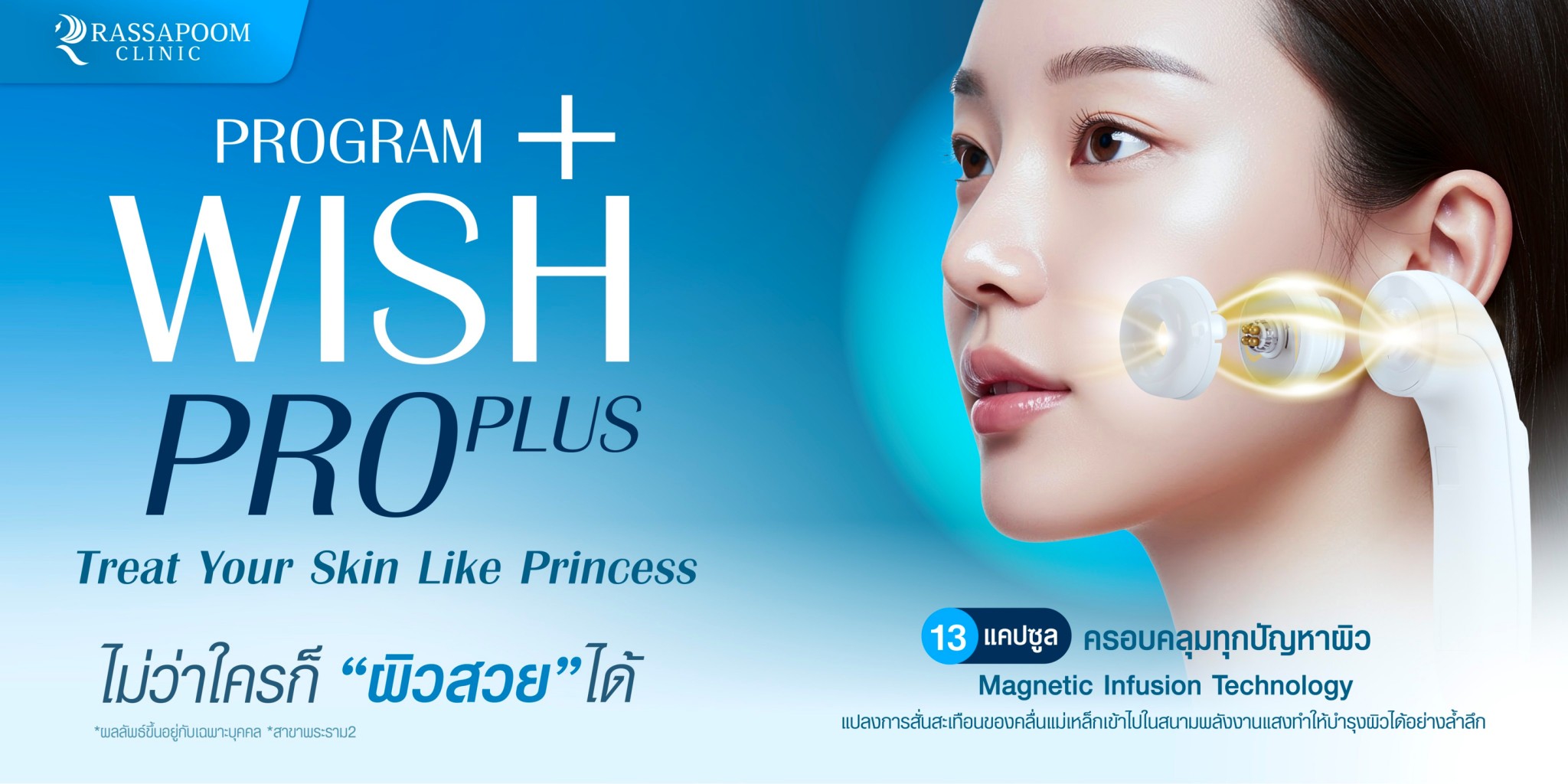 โปรแกรม wish pro plus