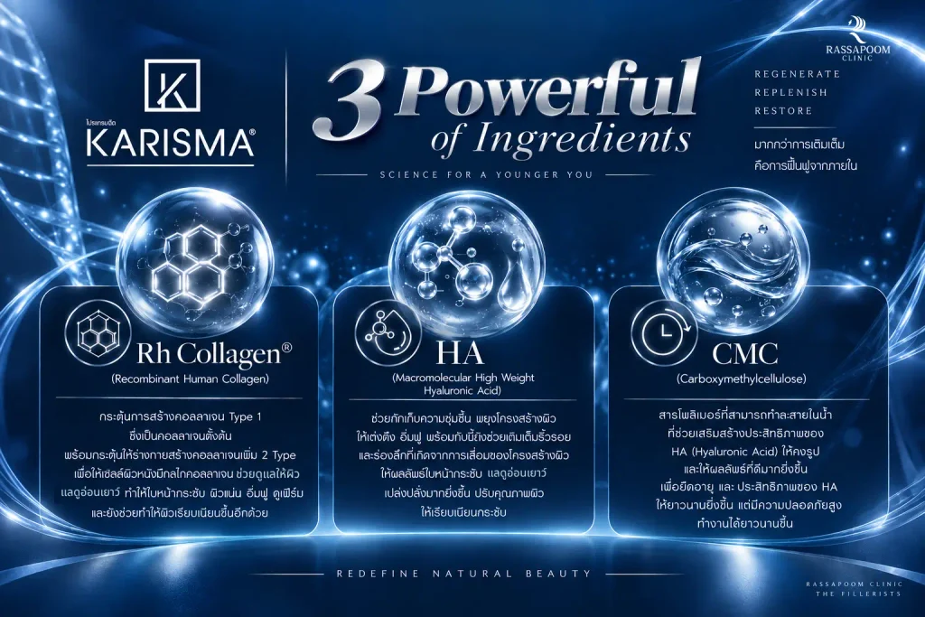องค์ประกอบของโปรแกรม Karisma