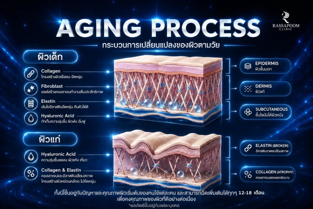โปรแกรม Radiesse กับการเปลี่ยนแปลงของโครงสร้างผิว